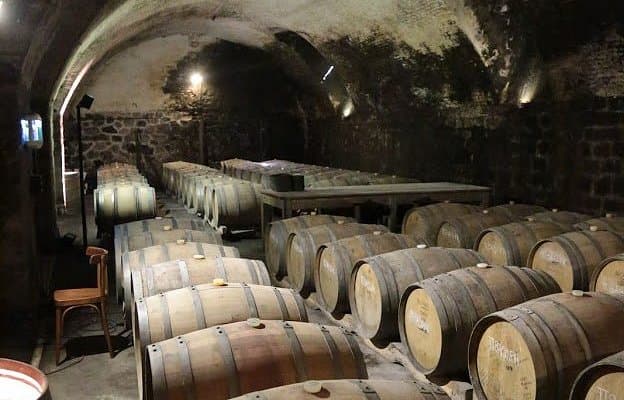 Bodega Deicas